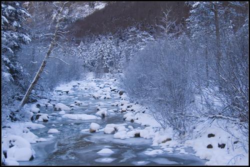 Fotografia de Gustavo - Galeria Fotografica: Naturaleza - Foto: Frio