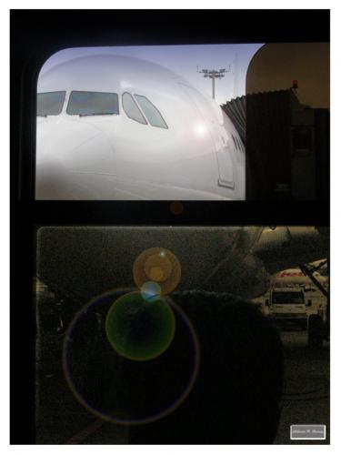 Fotografia de Alberto Ponte Reines Portfolio - Galeria Fotografica: Un viaje con Photoshop T4-Amsterdam - Foto: Asomando el morro