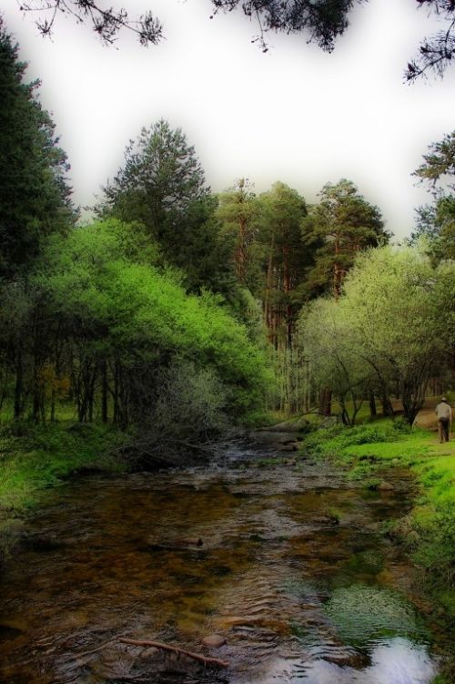 Fotografia de jrubioj54 - Galeria Fotografica: Sierra de Madrid - Foto: 