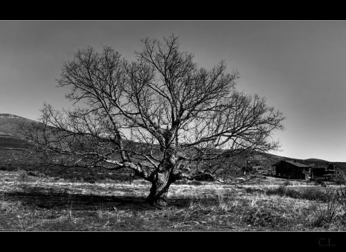 Fotografia de Carlos Lpez - Galeria Fotografica: Varios - Foto: 