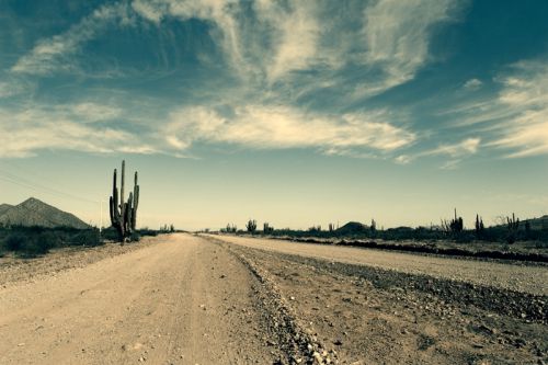 Fotografia de Siqui Sanchez Fotografia - Galeria Fotografica: El Mexico de Roberto Bolao - Foto: 