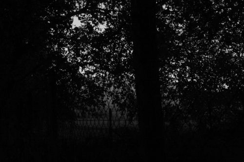 Fotografia de Indmito Producciones - Galeria Fotografica: Blanco/negro - Foto: 