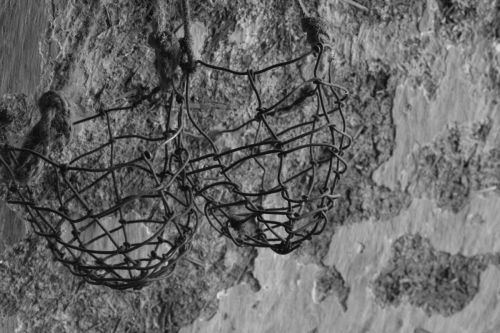 Fotografia de Indmito Producciones - Galeria Fotografica: Blanco/negro - Foto: 