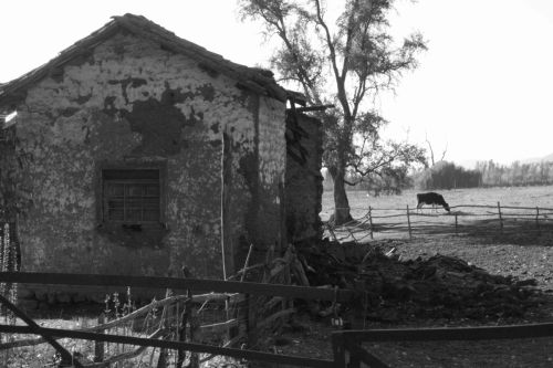 Fotografia de Indmito Producciones - Galeria Fotografica: Blanco/negro - Foto: 