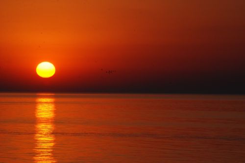 Fotografia de Sergio queral - Galeria Fotografica: ATARDECER EN MIRAMAR - Foto: 