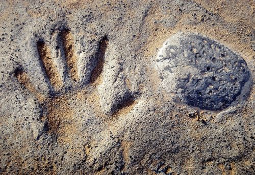 Fotografia de J.Henr�quez - Galeria Fotografica: Color - Foto: 