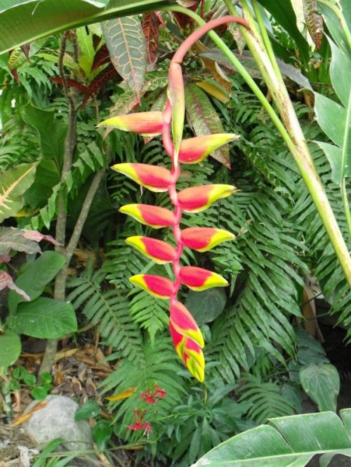 Fotografia de Alex Lopez - Galeria Fotografica: mis viajes - Foto: 