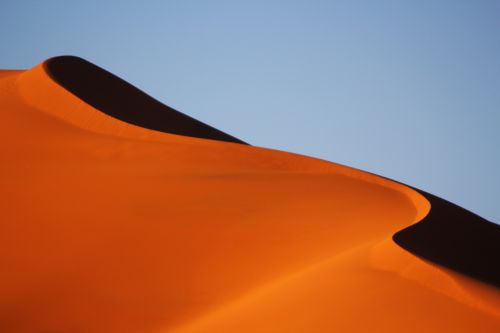 Fotografia de Salvador Gomez Sanchez - Galeria Fotografica:  Mil pices mil     - Foto: 