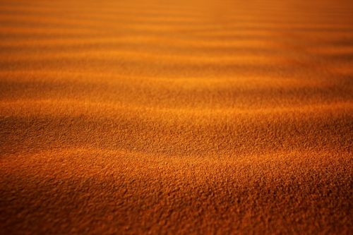 Fotografia de Salvador Gomez Sanchez - Galeria Fotografica:  Mil pices mil     - Foto: 