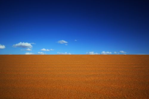 Fotografia de Salvador Gomez Sanchez - Galeria Fotografica:  Mil pices mil     - Foto: 