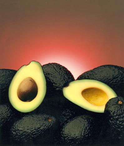 Fotografia de Ernesto Ortiz Fot�grafo - Galeria Fotografica: Fotos x Diversi�n - Foto: Avocado