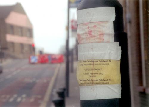 Fotografia de Iurdana de Prada - Galeria Fotografica: Stratford/London 2006 - Foto: presencia de esperanza