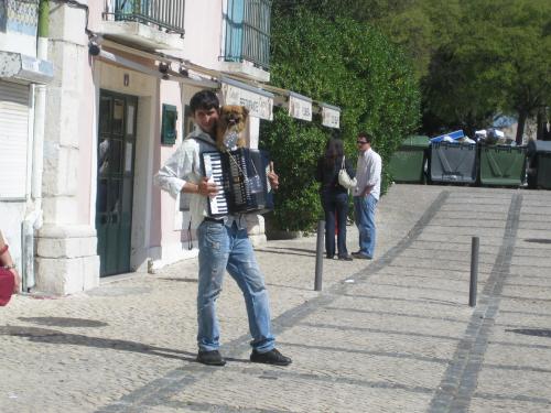 Fotografia de Campanilla - Galeria Fotografica: realidades...... - Foto: 