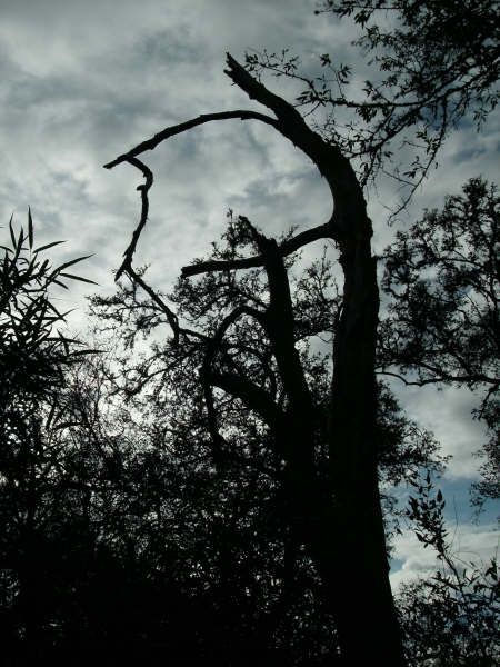 Fotografia de casa rosetti - Galeria Fotografica: Naturaleza - Foto: tempestad