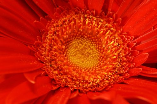 Fotografia de manofotu - Galeria Fotografica: colores y formas - Foto: sol