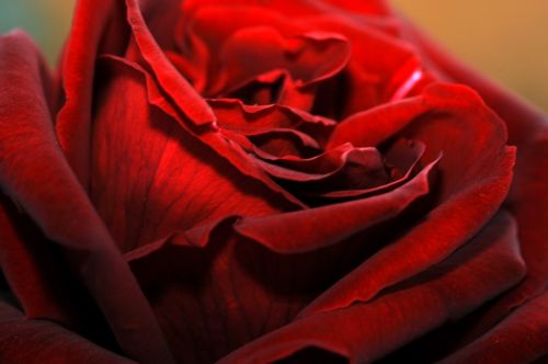 Fotografia de manofotu - Galeria Fotografica: colores y formas - Foto: marejada