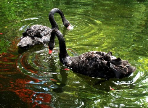 Fotografia de Carvajal - Galeria Fotografica: Reflejos - Foto: 