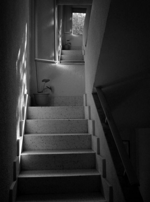 Fotografia de Carvajal - Galeria Fotografica: Reflejos - Foto: 