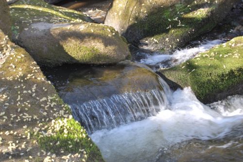Fotografia de xancarallan - Galeria Fotografica: 09 - Foto: luz y sombra