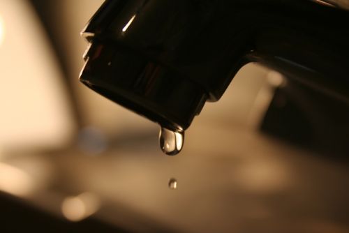 Fotografia de MADPHOTO - Galeria Fotografica: Fotos de alumnos de los cursos de Iniciacin - Foto:  Carmela Martn