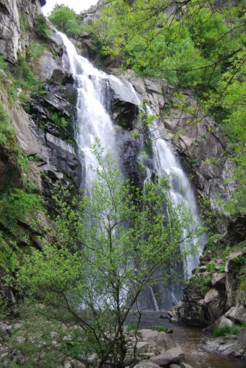 Fotografia de xancarallan - Galeria Fotografica: 09 - Foto: o rio toxa