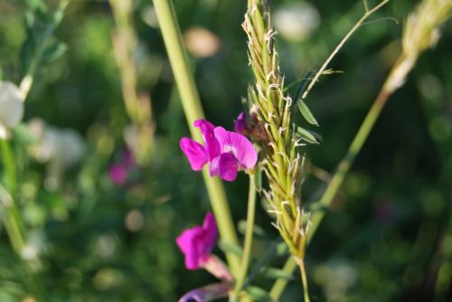Fotografia de xancarallan - Galeria Fotografica: 09 - Foto: mini