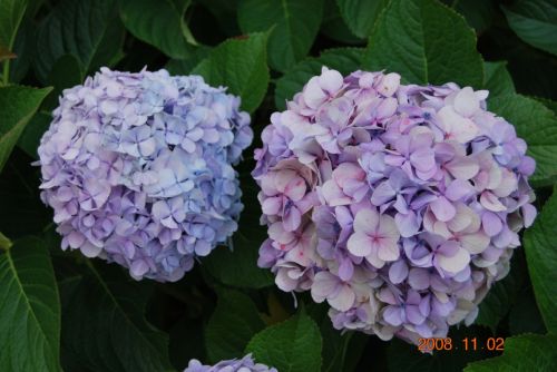 Fotografia de xancarallan - Galeria Fotografica: 09 - Foto: no se