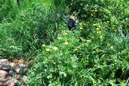 Fotografia de xancarallan - Galeria Fotografica: 09 - Foto: reciclje1