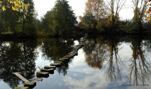 Fotografia de avesnatureza - Galeria Fotografica: ambientes e momentos - Foto: chaves1
