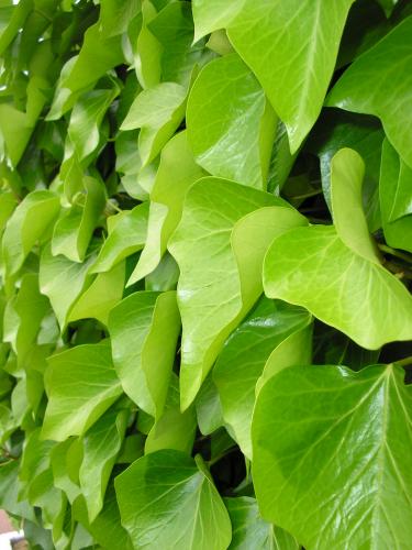 Fotografia de ASPlife - Galeria Fotografica: Mis primeras fotos - Foto: 