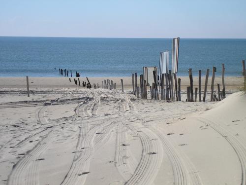 Fotografia de ASPlife - Galeria Fotografica: Mis primeras fotos - Foto: A la playa