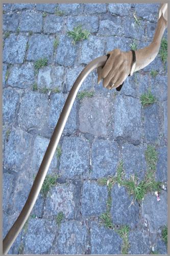 Fotografia de girguls - Galeria Fotografica: RONALDO GIRGULSKY - Foto: PASO FIRME