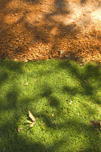 Fotografia de SIC - Galeria Fotografica: Varios - Foto: Foto 3