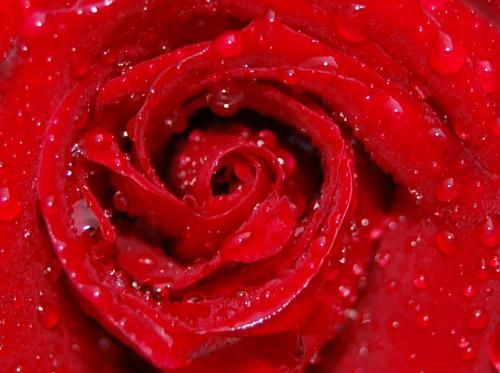 Fotografia de Alfonso - Galeria Fotografica: Naturaleza - Foto: Rojo y agua