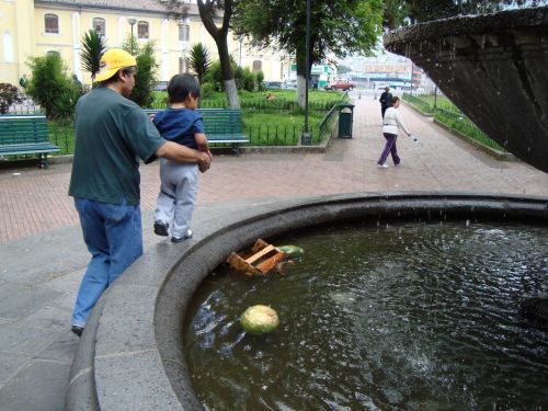 Fotografia de Pedro Escalante - Galeria Fotografica: Primeros Pasos - Foto: 