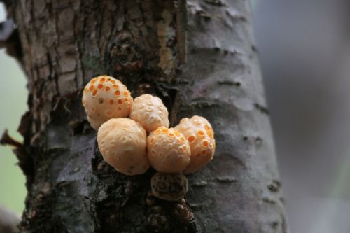 Fotografia de montsant - Galeria Fotografica: viage a la Patagonia - Foto: 