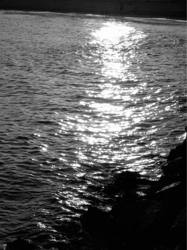 Fotografia de javitxu - Galeria Fotografica: mis fotos - Foto: 