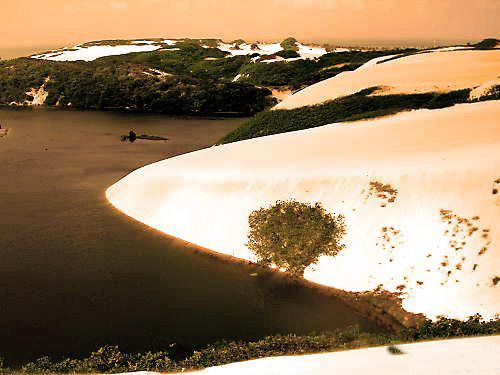 Fotografia de GalleryAga - Galeria Fotografica: Galleryaga - Foto: 