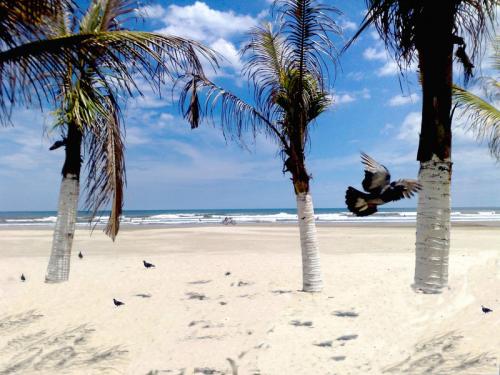 Fotografia de GalleryAga - Galeria Fotografica: Galleryaga - Foto: 