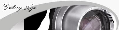 Fotografia de GalleryAga - Galeria Fotografica: Galleryaga - Foto: 