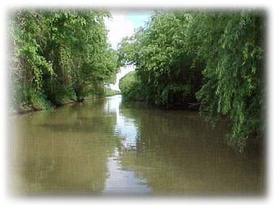 Fotografia de cbtis 22 - Galeria Fotografica: como sea - Foto: aaaaa