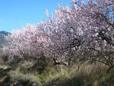 Fotografia de cbtis 22 - Galeria Fotografica: como sea - Foto: ya no se q poner 1