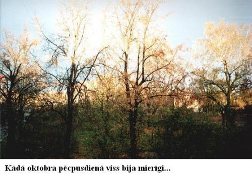 Fotografia de no se - Galeria Fotografica: mmmmmm sii - Foto: no se