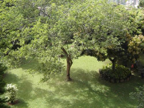 Fotografia de cbtis 22 - Galeria Fotografica: como sea - Foto: 