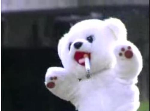 Fotografia de :D - Galeria Fotografica: Bimbo :D - Foto: 