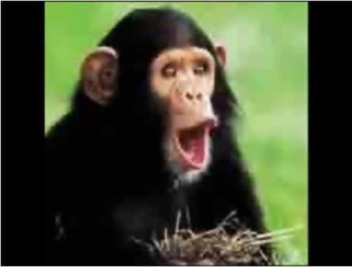 Fotografia de :D - Galeria Fotografica: Bimbo :D - Foto: 