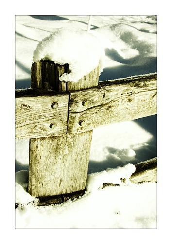 Fotografia de Jos - Galeria Fotografica: Momentos - Foto: Momentos