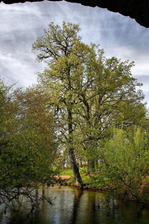 Fotografia de jrubioj54 - Galeria Fotografica: Colores - Foto: Colores de la Naturaleza