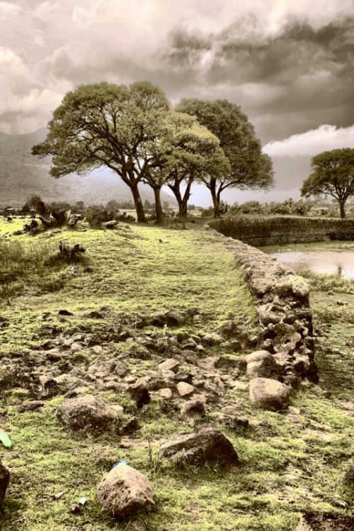 Fotografia de Disdri Fotografa - Galeria Fotografica: Apuntes - Foto: 