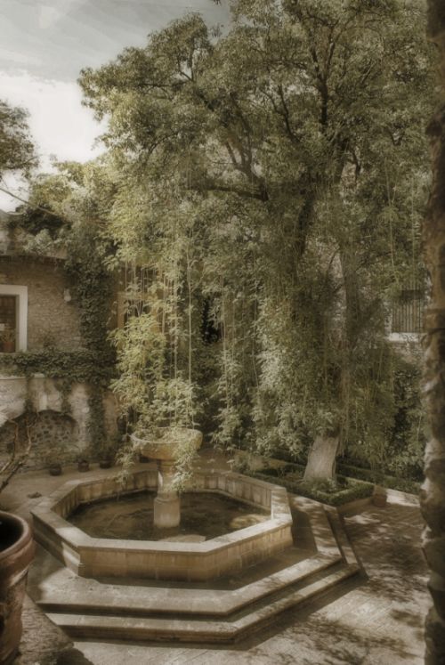 Fotografia de Disdri Fotografa - Galeria Fotografica: Apuntes - Foto: 